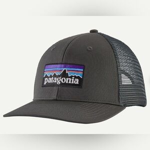 NWT Patagonia Trucker Hat